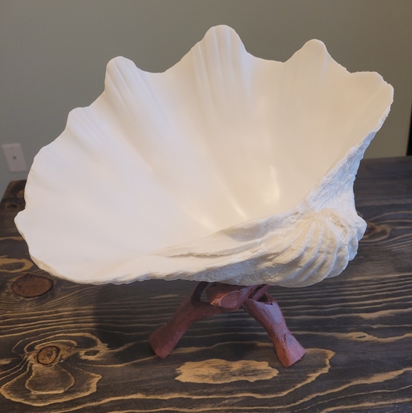 Shell decor - Picture 4 of 4